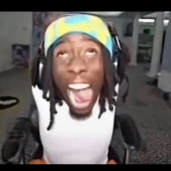 Meet your Posher, Taj - Picture 1 of 1